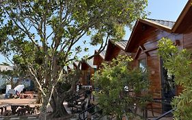 Co To Homestay 368